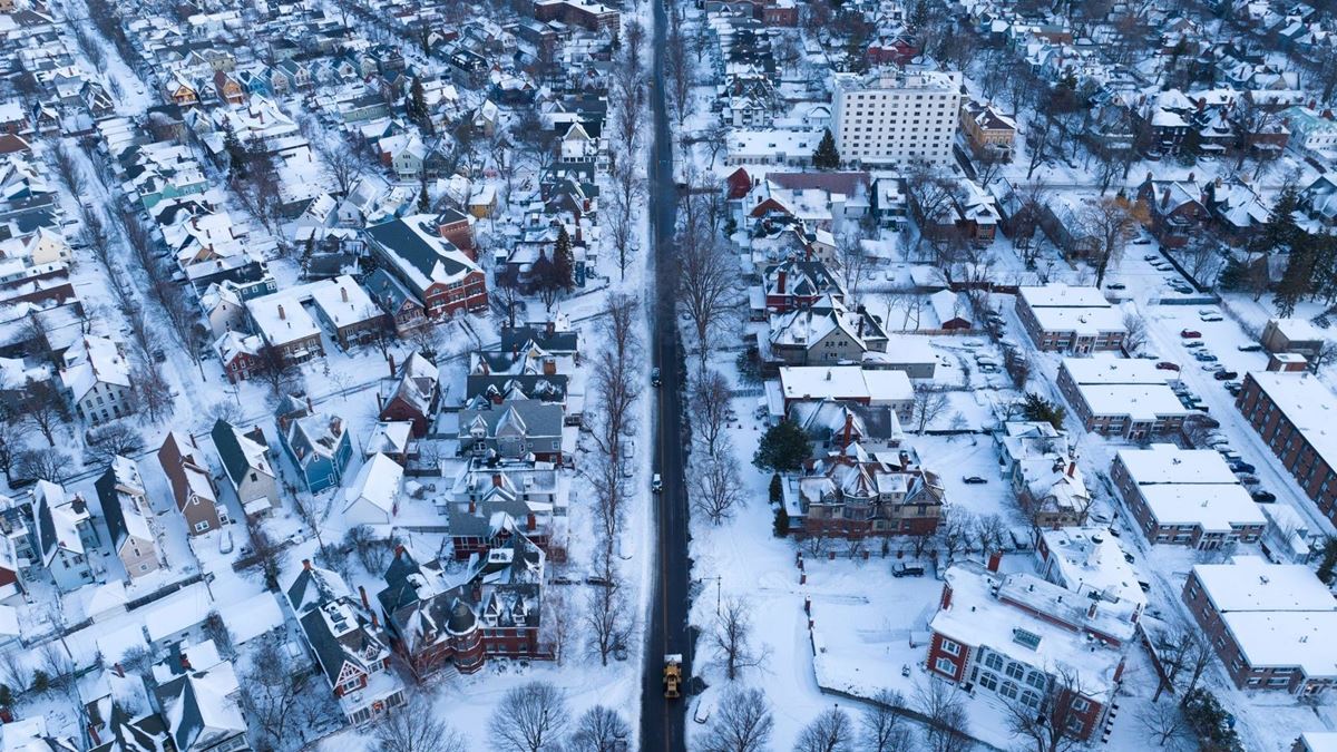 Koninginnen liggen in de winter in winterslaap