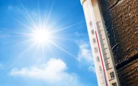 Warmterecord in het vroege voorjaar