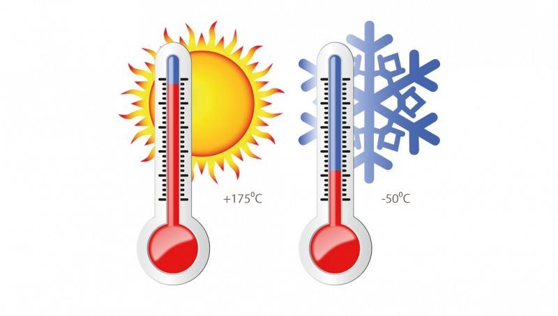 Wisselende temperaturen zijn een gevaar voor wespenkoninginnen